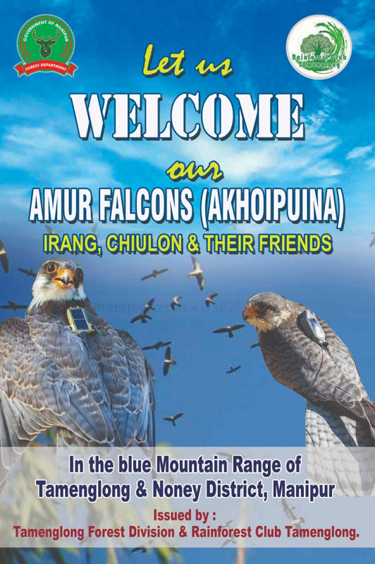 Amur Falcon Poster in Manipur © Wildlife Institute of India