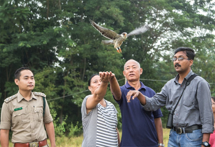 Hakhizhe village Nagaland, November 2016 © Wildlife Institute of India