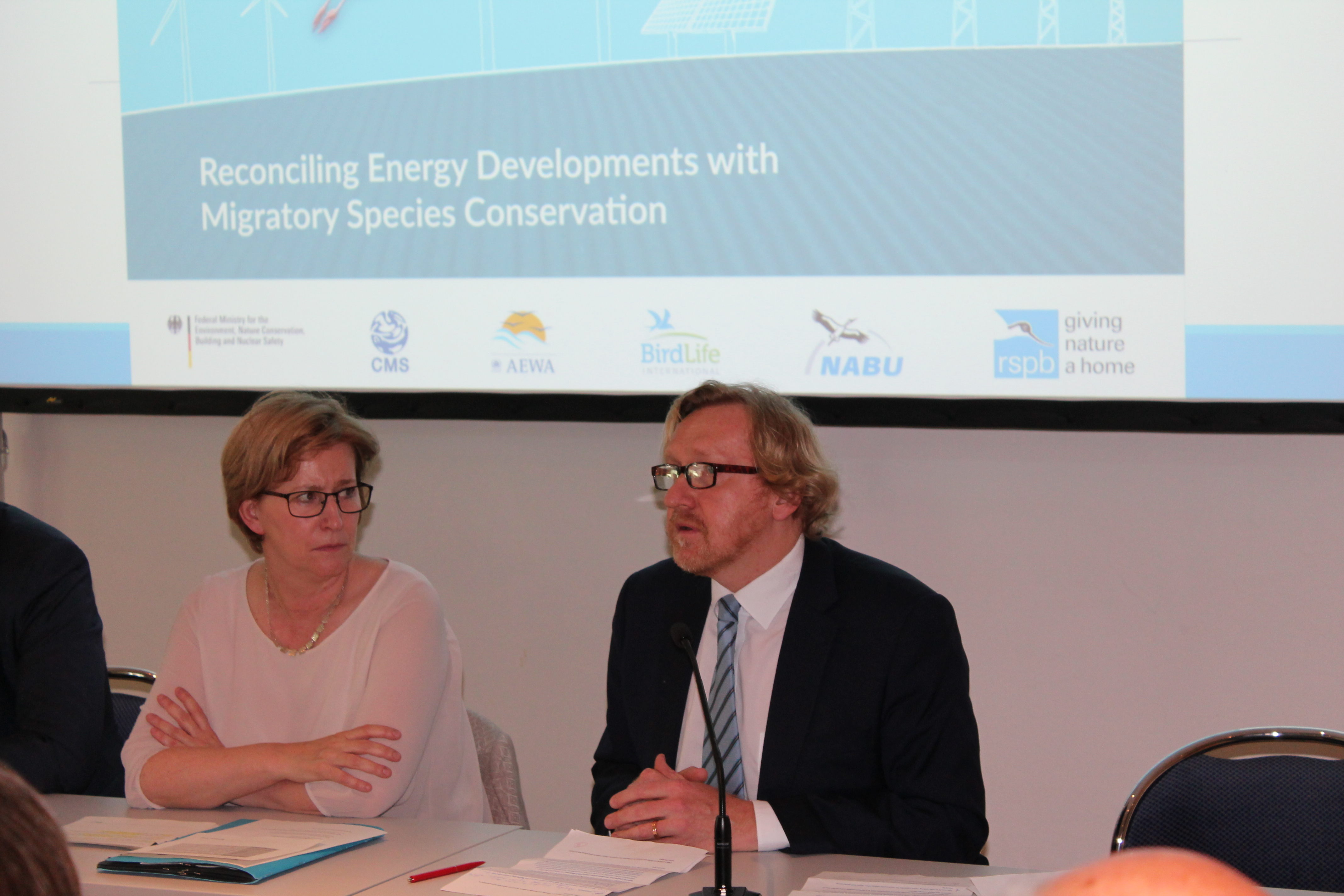 Energy Task Force Side Event: Bradnee Chambers (CMS) 