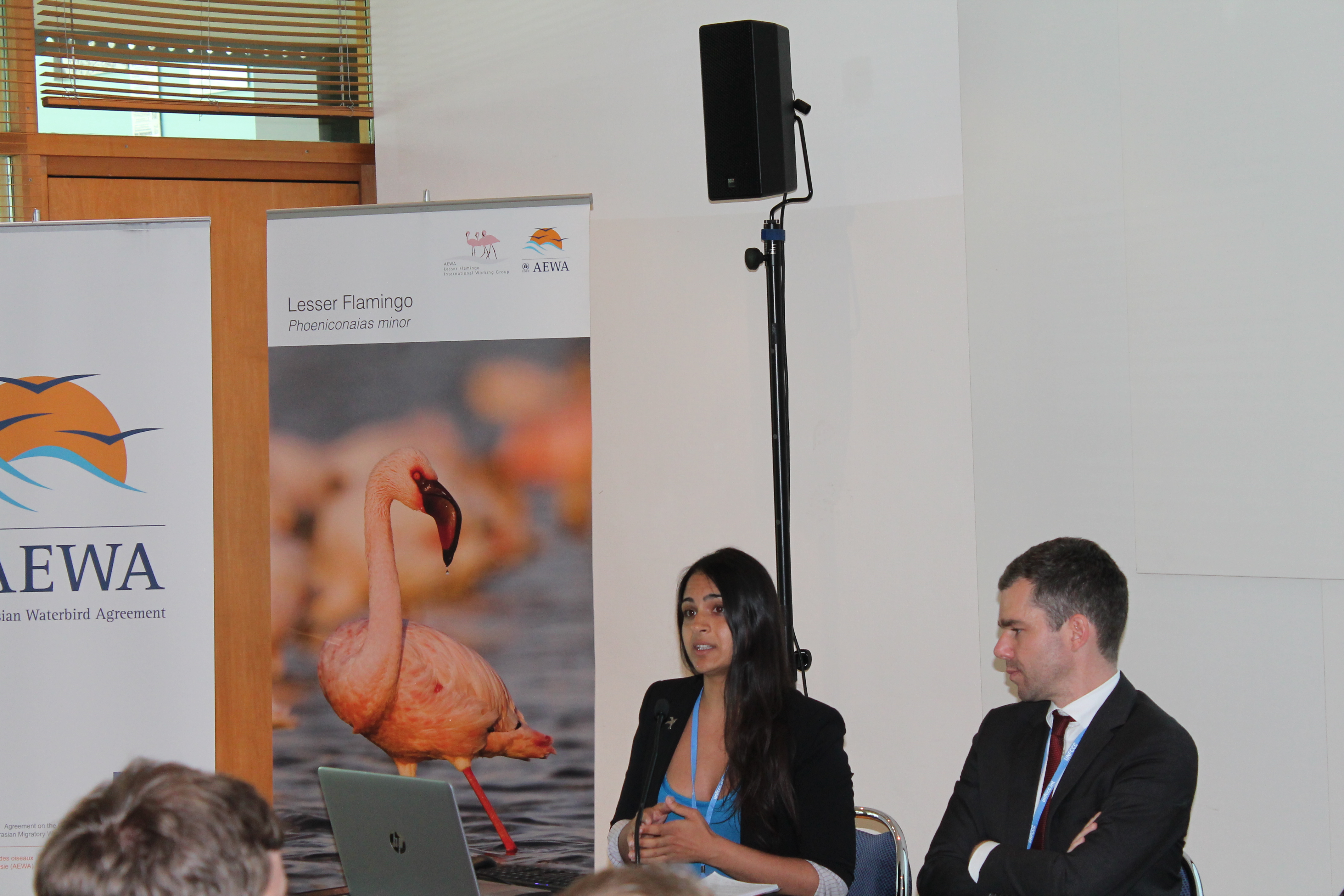 Energy Task Force Side Event: Aida Kowalska (BirdLife), Jürgen Friedrich (BMUB)
