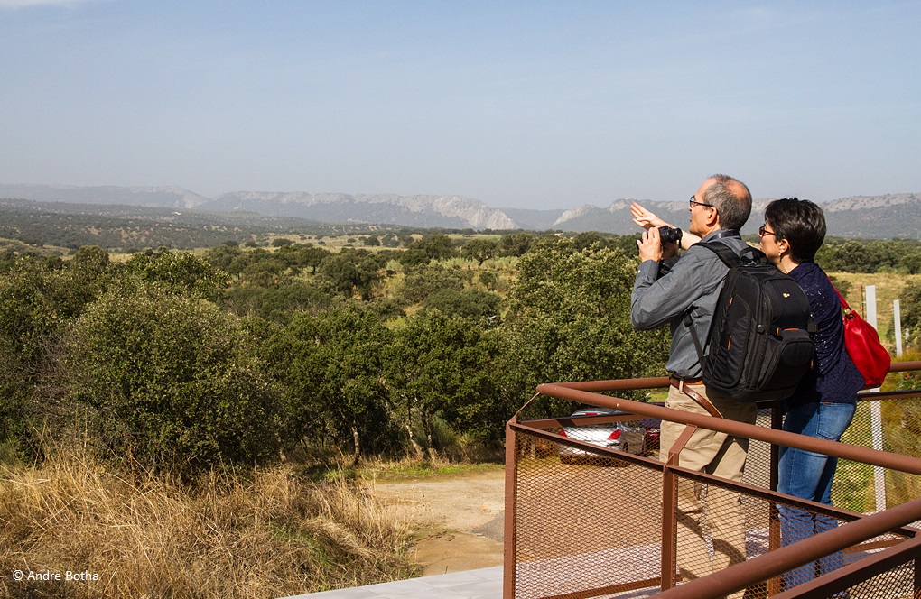 Observación de buitres de Monfragüe © Andre Botha
