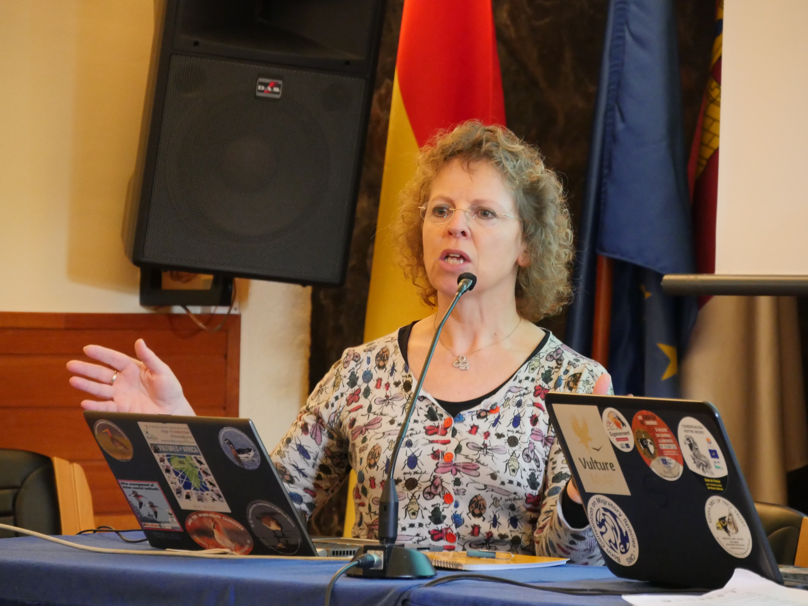 Nicola J. Crockford (RSPB - BirdLife in the UK) facilitated discussion regarding potential Vulture MsAP coordination framework in Working Group 4. © SEO BirdLife