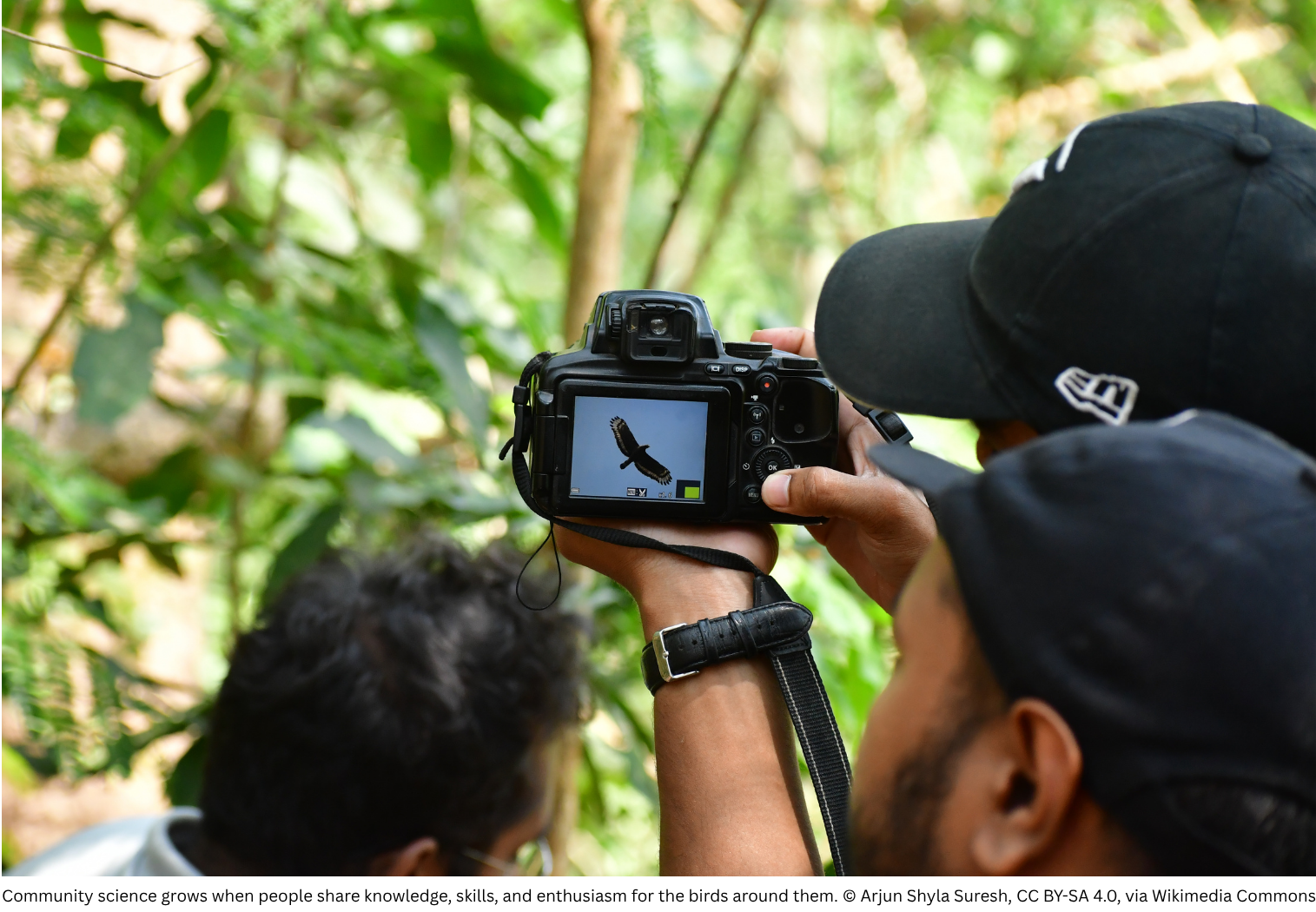 Photographer
