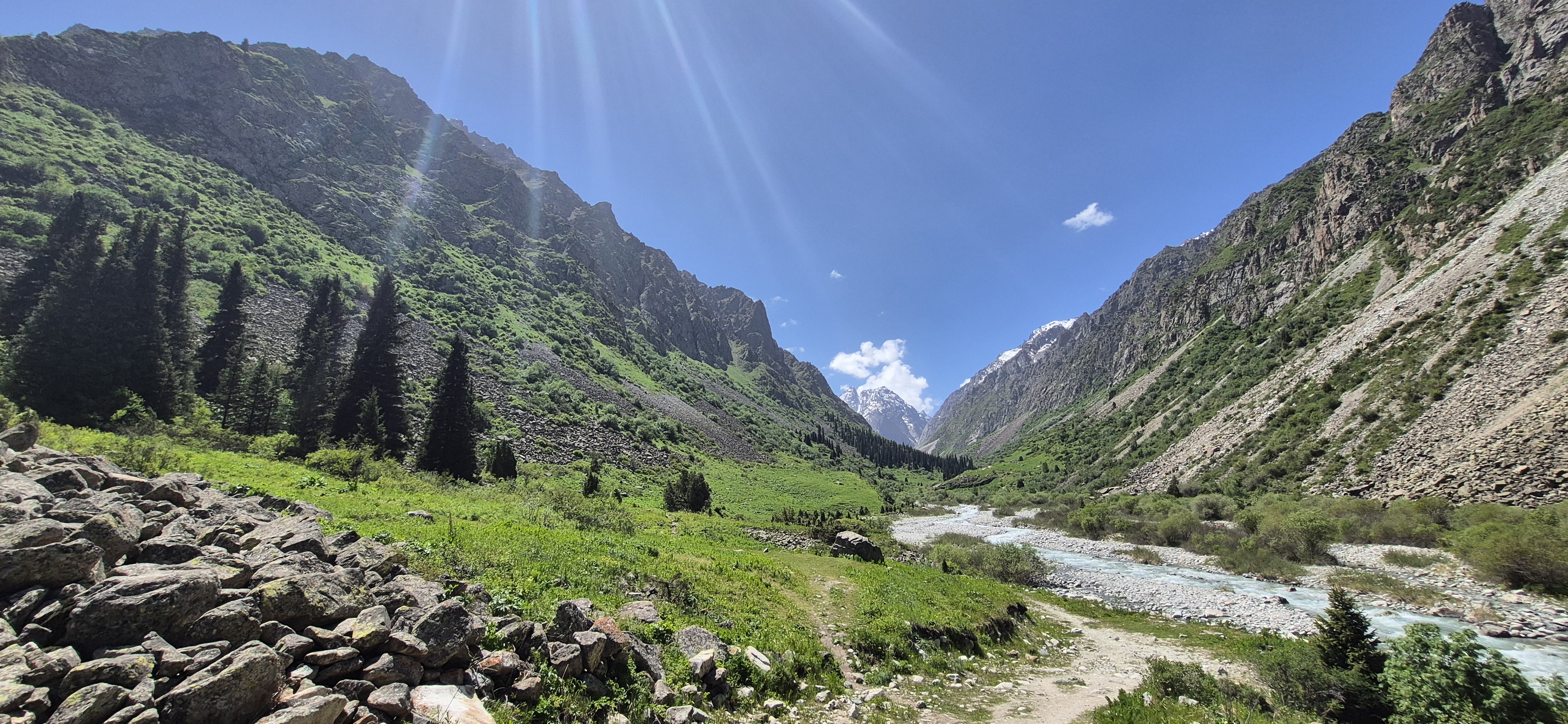 The Mountaing of Kyrgyzstan host rich populations of migratory birds of prey