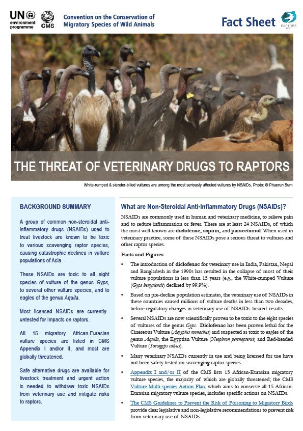 Raptors MOU Factsheet NSAIDs