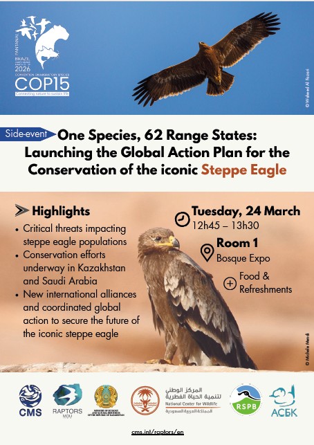 SEGAP side event invitation