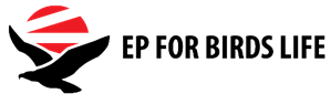 Project logo