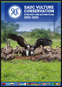 SADC Vulture Conservation Strategy and Action Plan 2025–2035