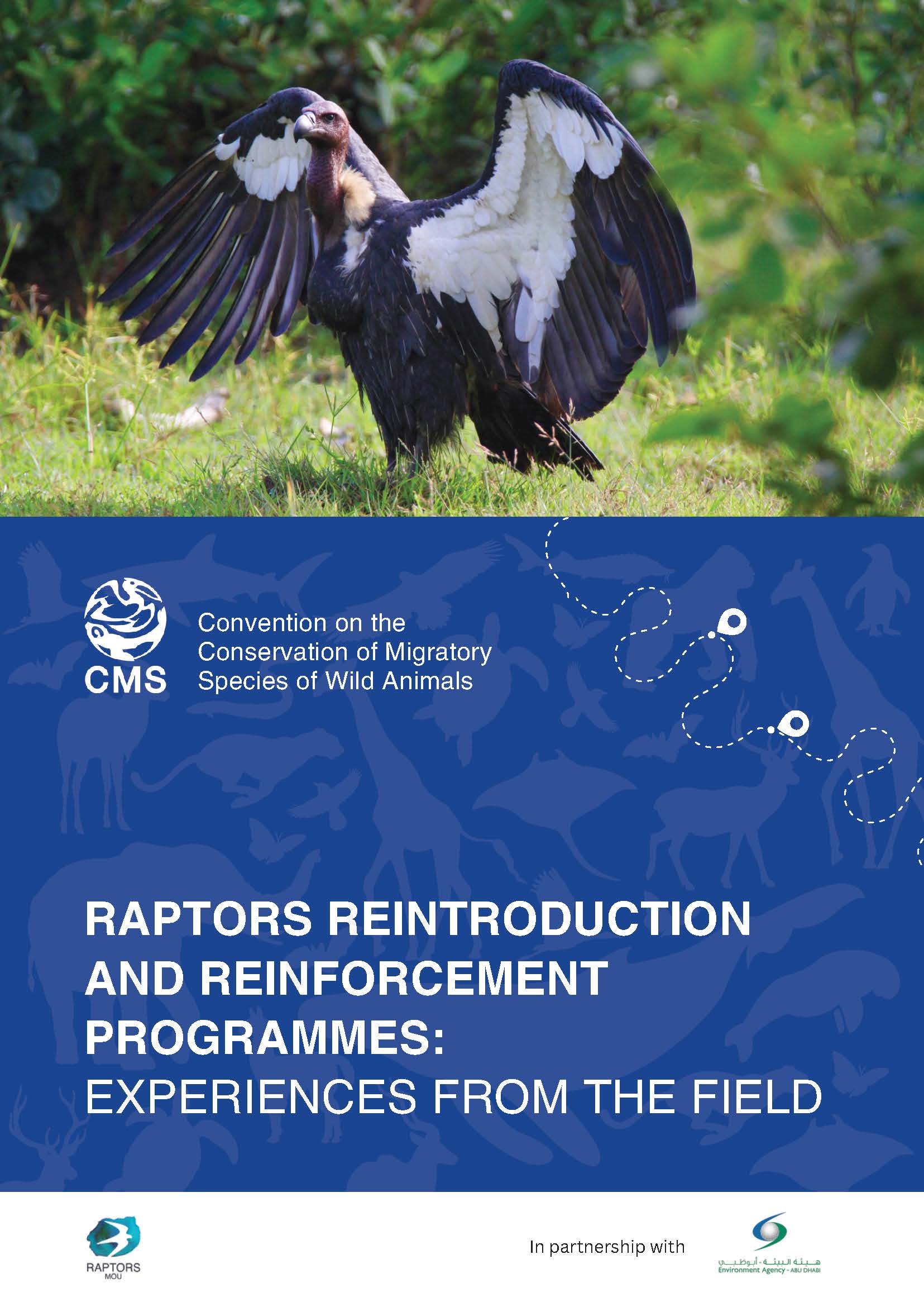 Report cover