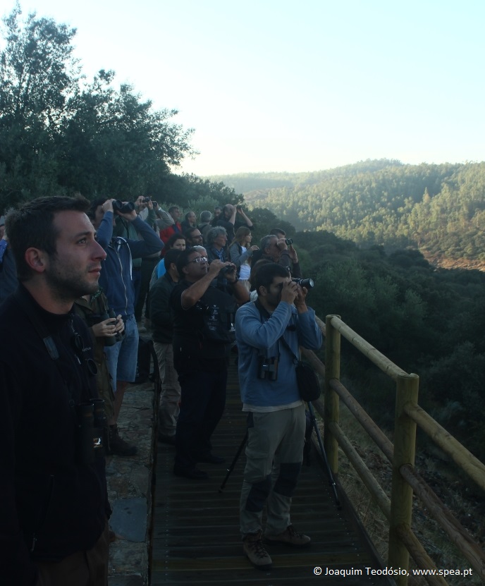 Monfragüe © Joaquim Teodósio, www.speat.pt