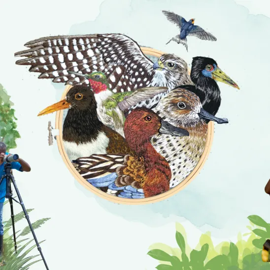 Community Science Takes Centre Stage on World Migratory Bird Day