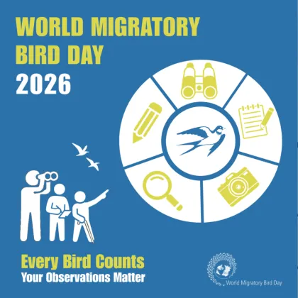 World Migratory Bird Day 2026: Every Bird Counts - Your Observations Matter 