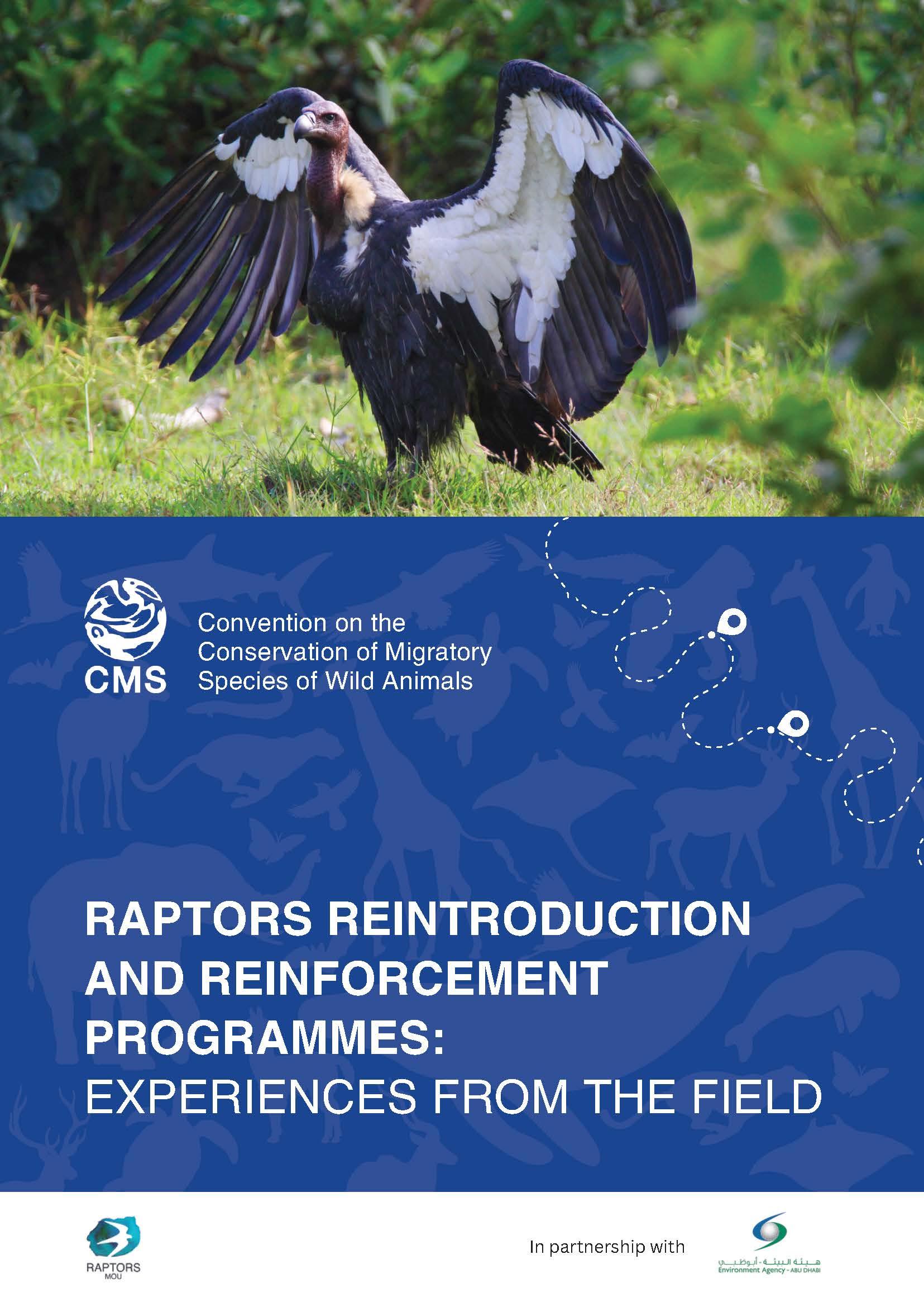 Report cover