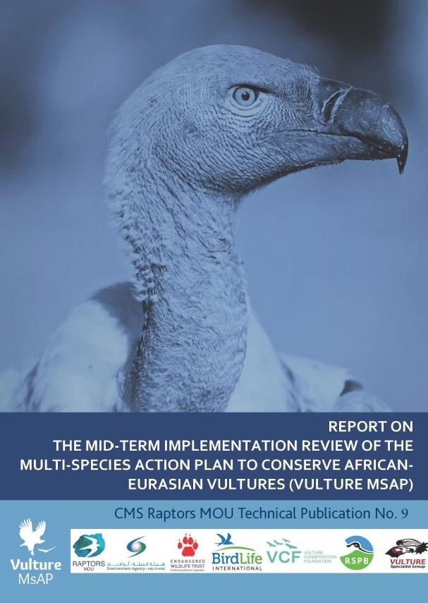 MTIR Cover