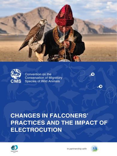 IAF_Raptors Report cover
