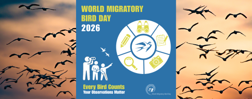 WMDB2026 Banner