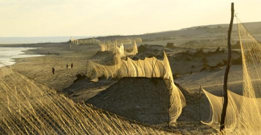 Bird nets along the Egyptian coast © Holger Schulz/NABU