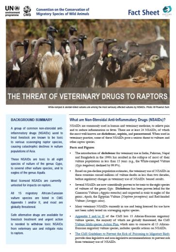 Fact Sheet on NSAIDs