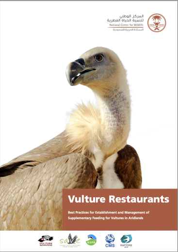 Vulture restaurants_cover