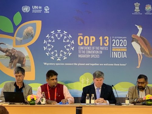 Indian Govt Inspector General speaking at COP13 Side Event