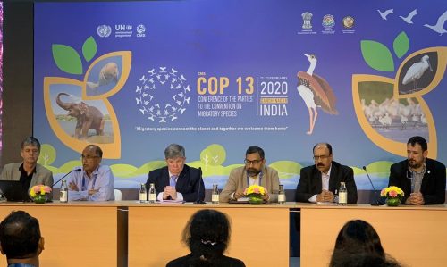 Panel during COP13 side event