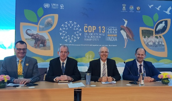 Saker Falcon side event